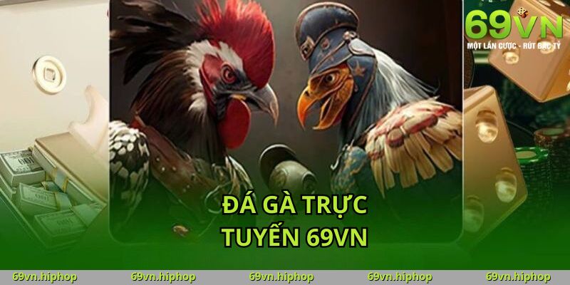 Cách sử dụng app App đá gà trực tuyến 69VN dễ hiểu, dễ chơi