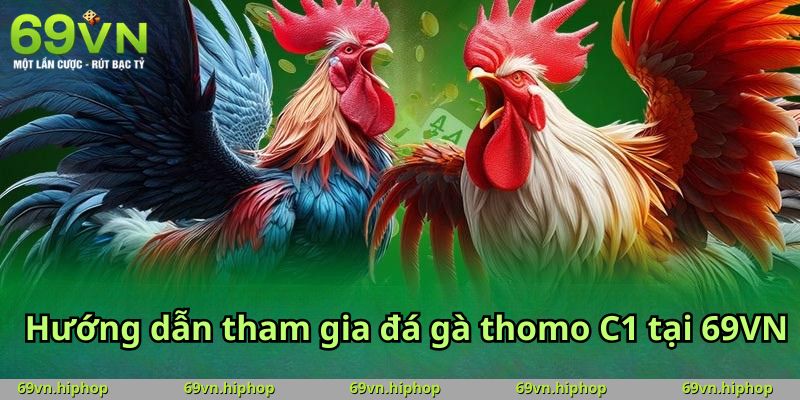 Hướng dẫn tham gia đá gà thomo C1 tại 69VN
