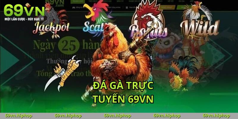 Khuyến mãi và ưu đãi hấp dẫn chỉ có tại app đá gà trực tuyến 69VN