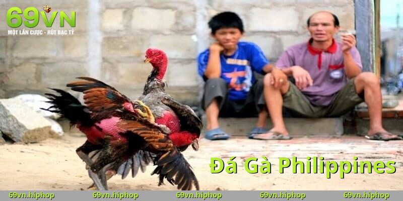 Kinh nghiệm xương máu giúp bạn thắng lớn khi đá gà Philippines