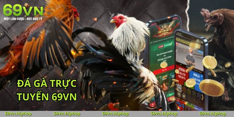 Trải nghiệm đỉnh cao cùng App đá gà trực tuyến tại 69VN