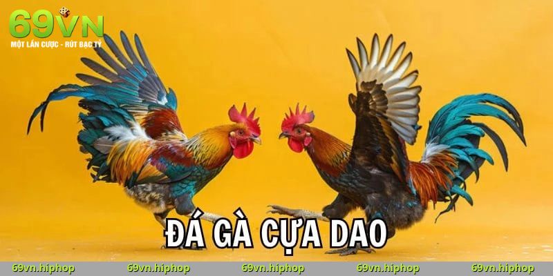 Đá Gà Cựa Dao 69VN