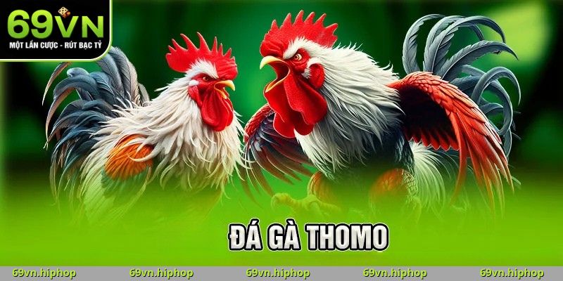 Đá Gà Thomo C1 tại 69VN