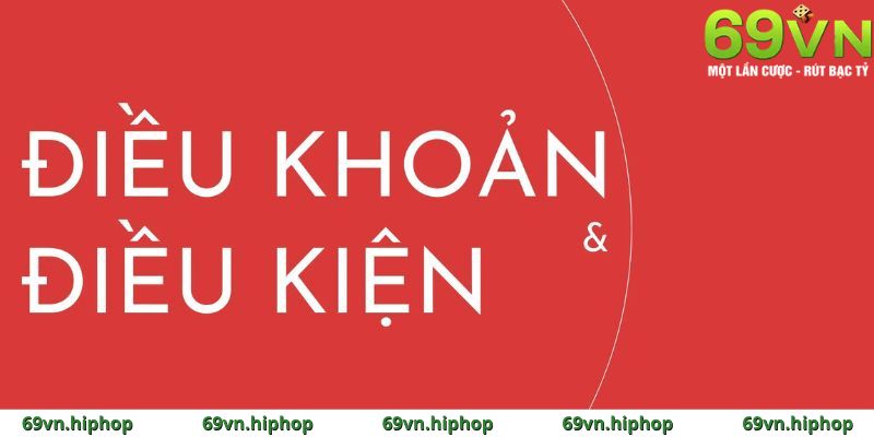 Giới thiệu chung về điều khoản sử dụng tại 69VN