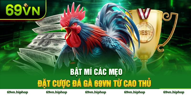 Hướng dẫn tham gia đá gà tại 69VN