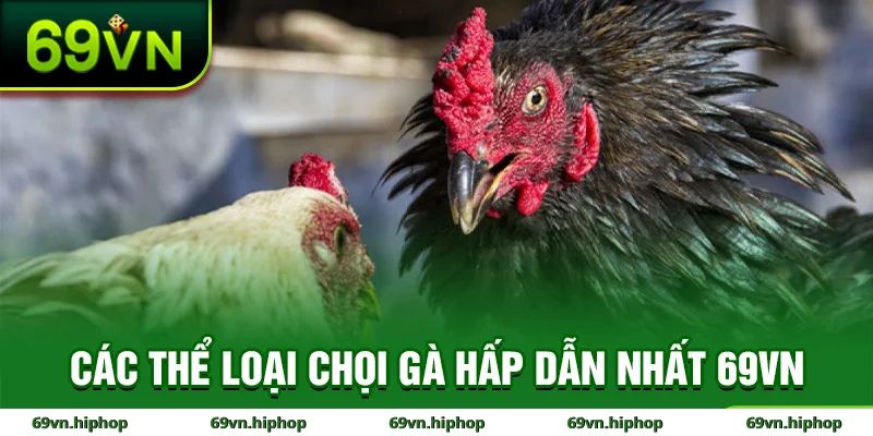 Tổng quan về đá gà tại 69VN