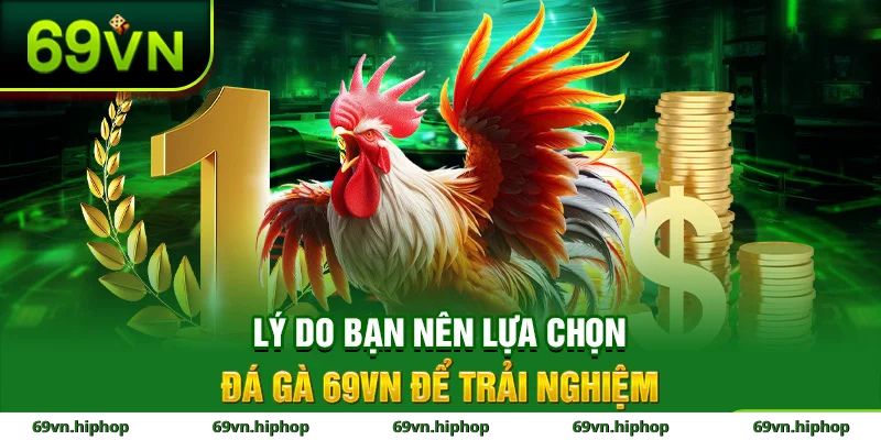 Ưu điểm nổi bật của đá gà tại 69VN